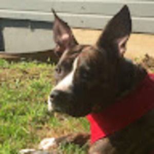 Meet your Posher, Kelsey